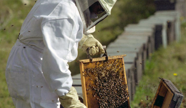 Captura de pantalla 2026-04-12 111609