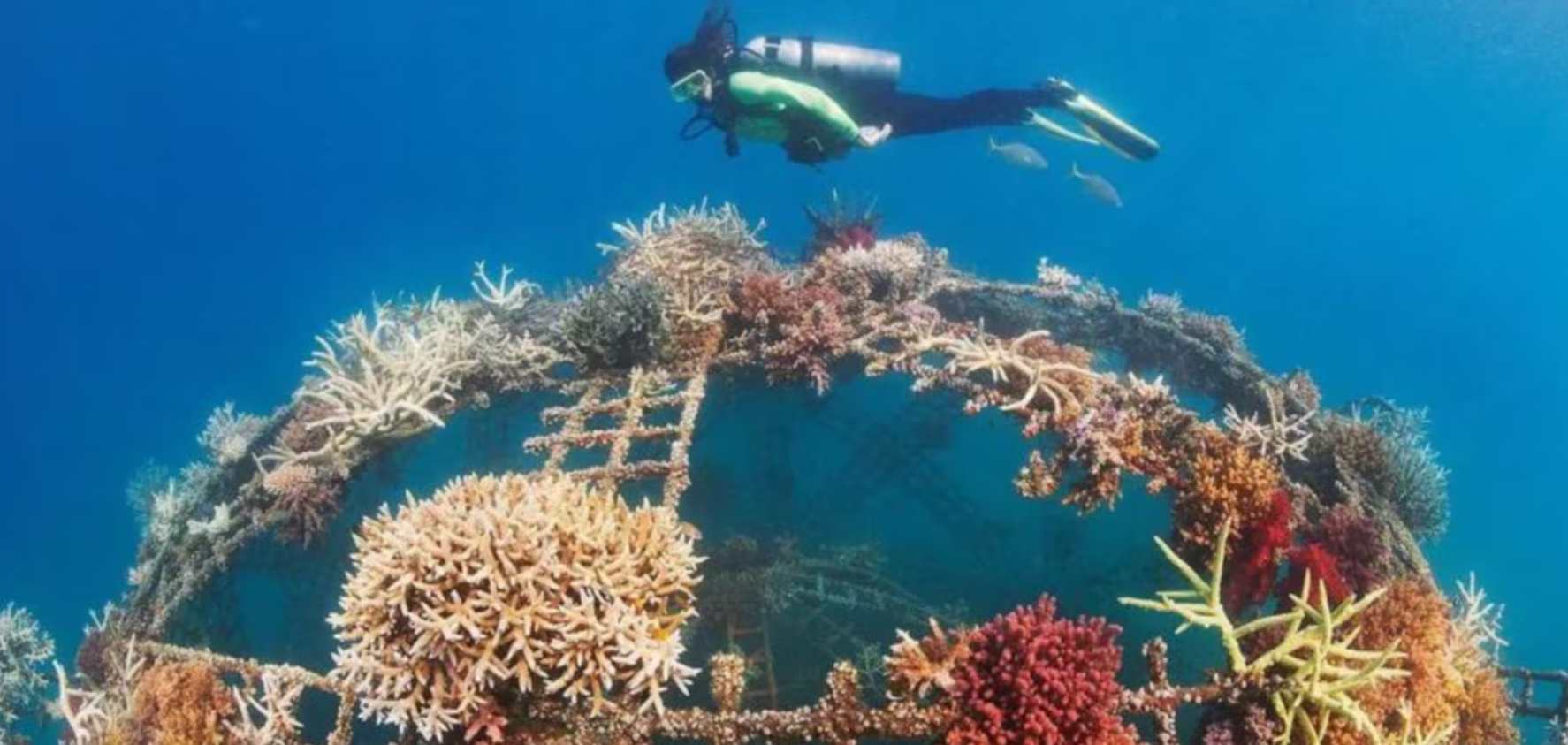 Captura de pantalla 2026-04-14 125258