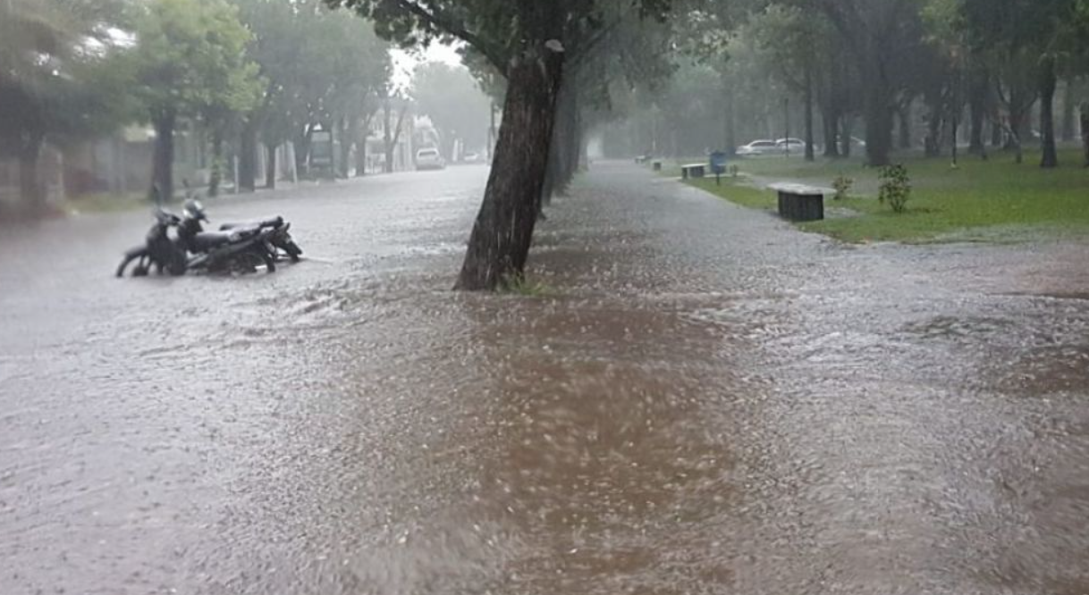 Captura de pantalla 2026-04-15 084730