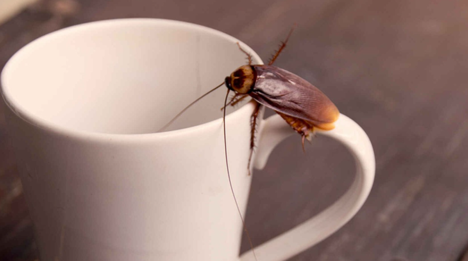 Captura de pantalla 2026-04-15 140740