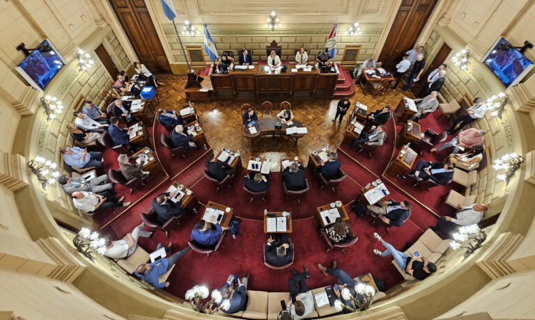 senadosf (1)